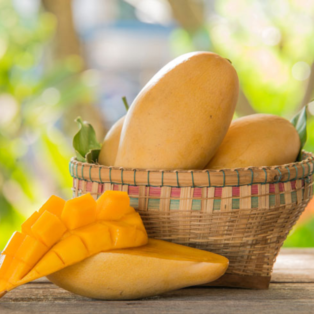 Thai Honey Mango (Mangifera Indica) (Single)