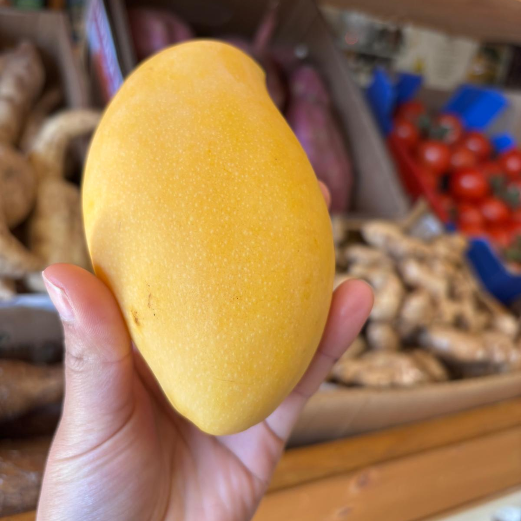Thai Honey Mango (Mangifera Indica) (Single)