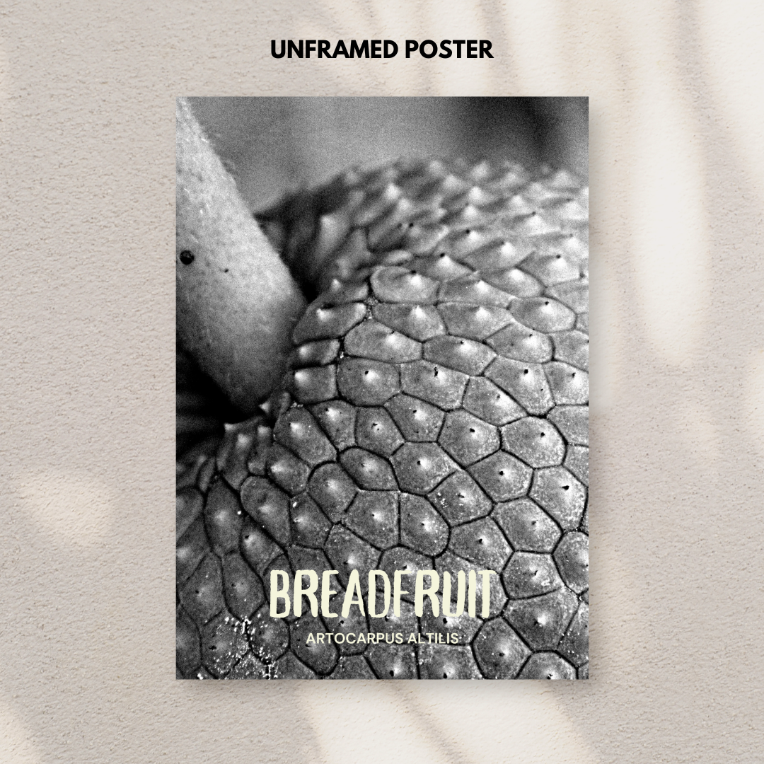 Bread fruit