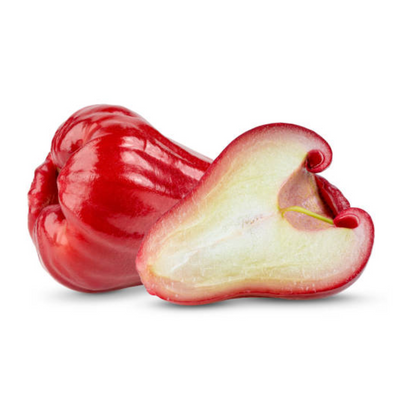 Thai Rose Red Java Apple (Eugenia Javanica Lam) (Single)