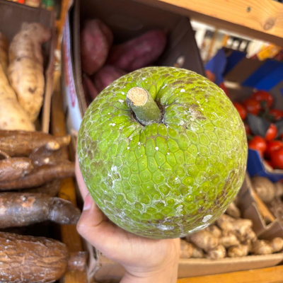 St Lucian Breadfruit - 1.2kg - Listing D