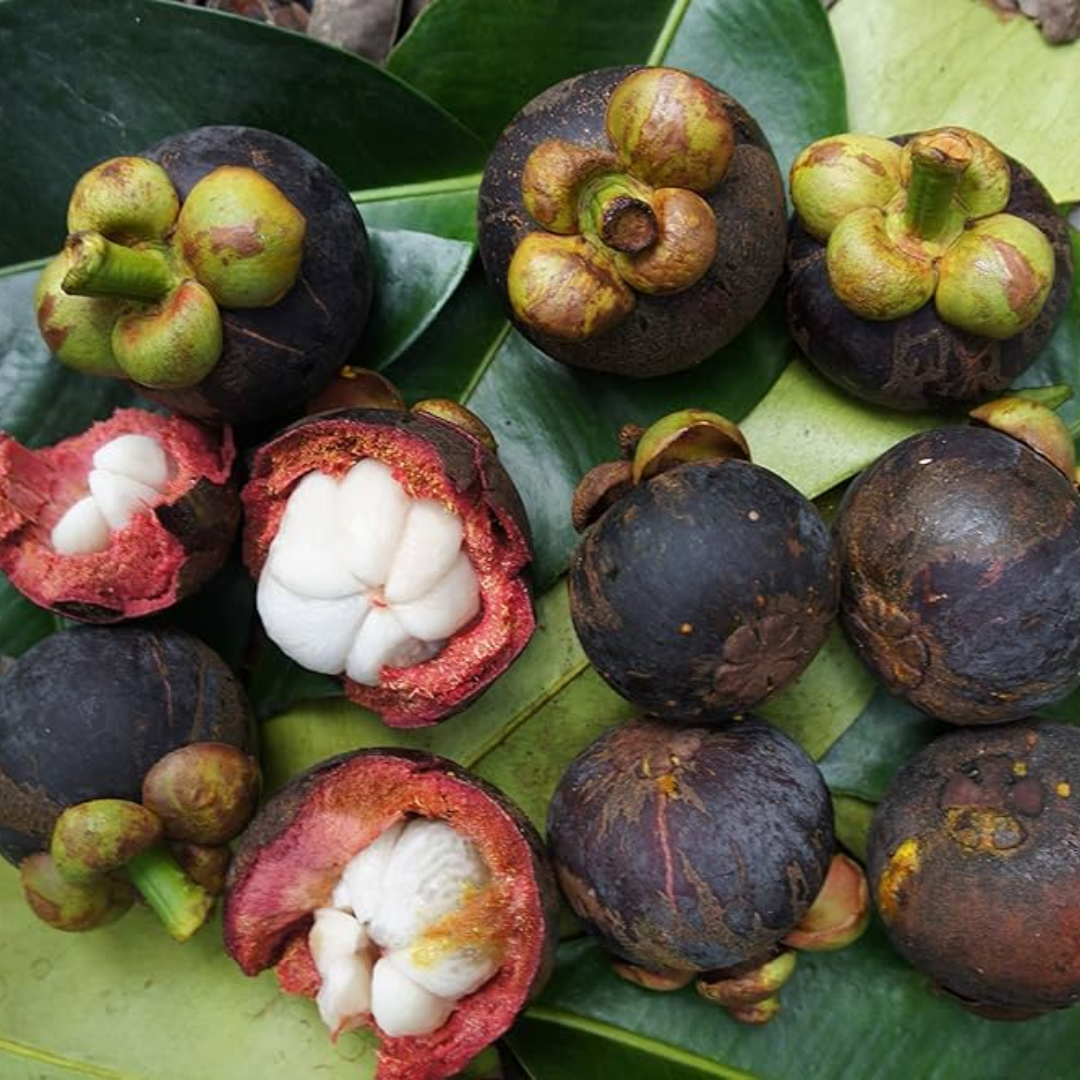 Columbian Mangosteen (Approx 450g)