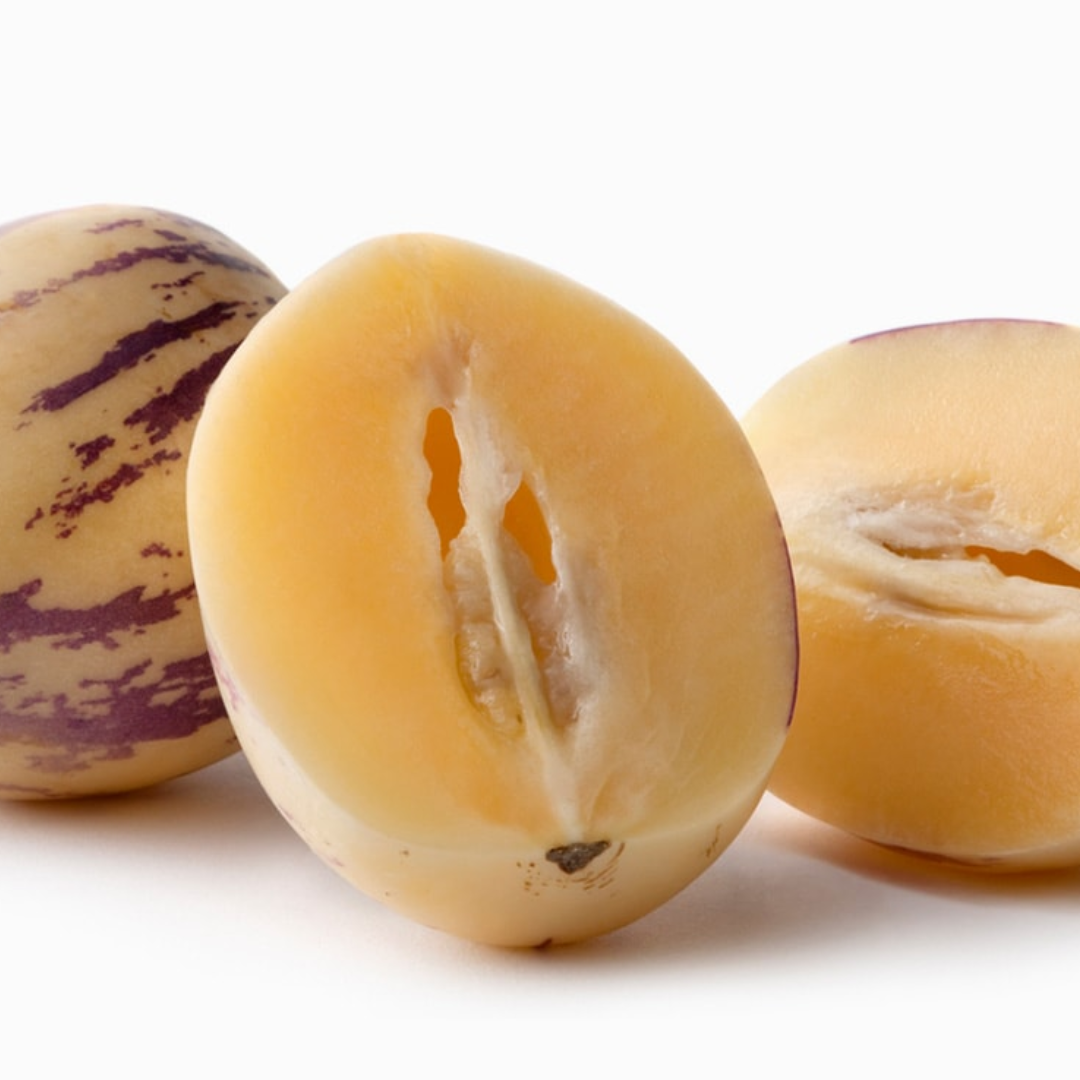 Columbian Pepino Melon (Single)