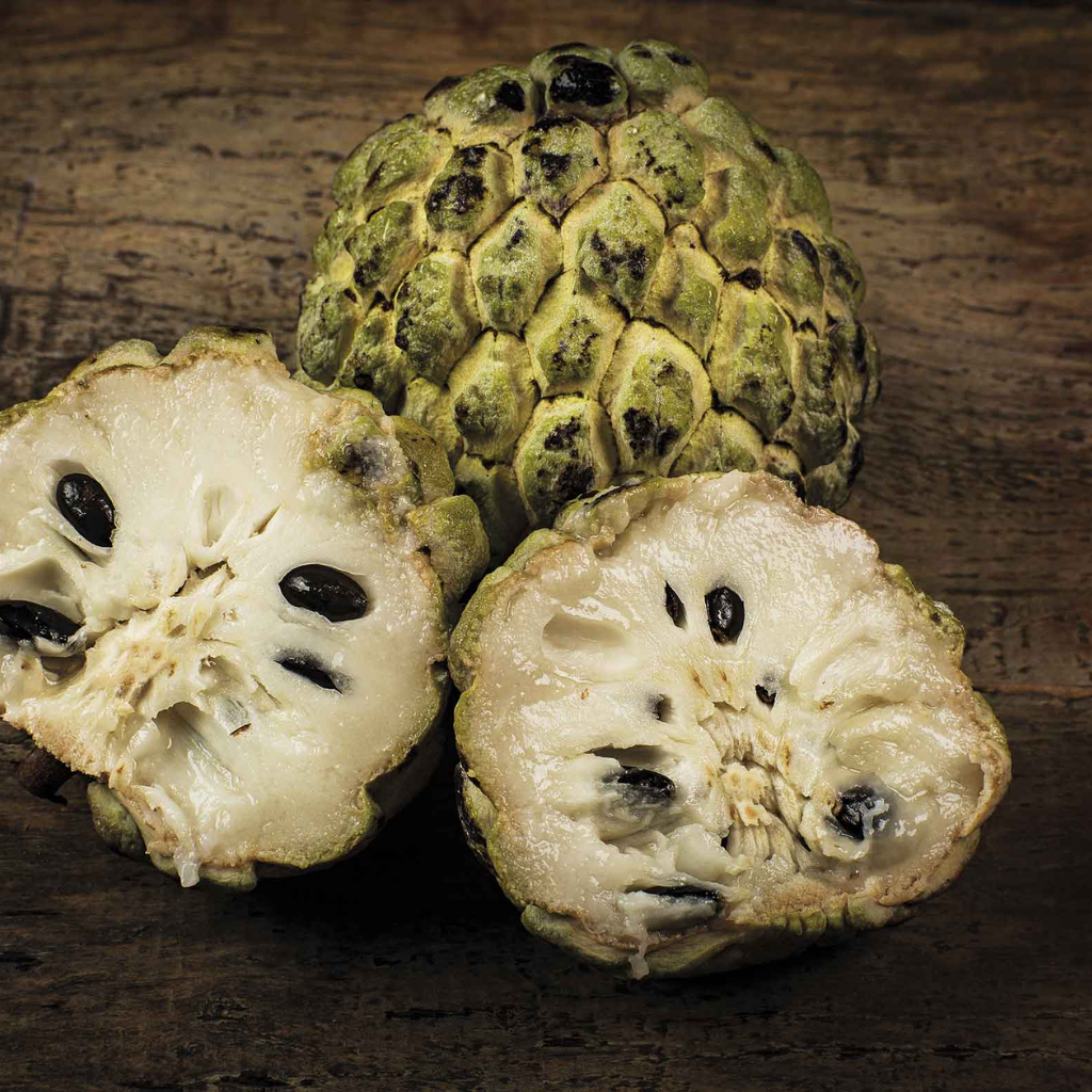Brazilian Sugar Apple/Sweetsop (Single)