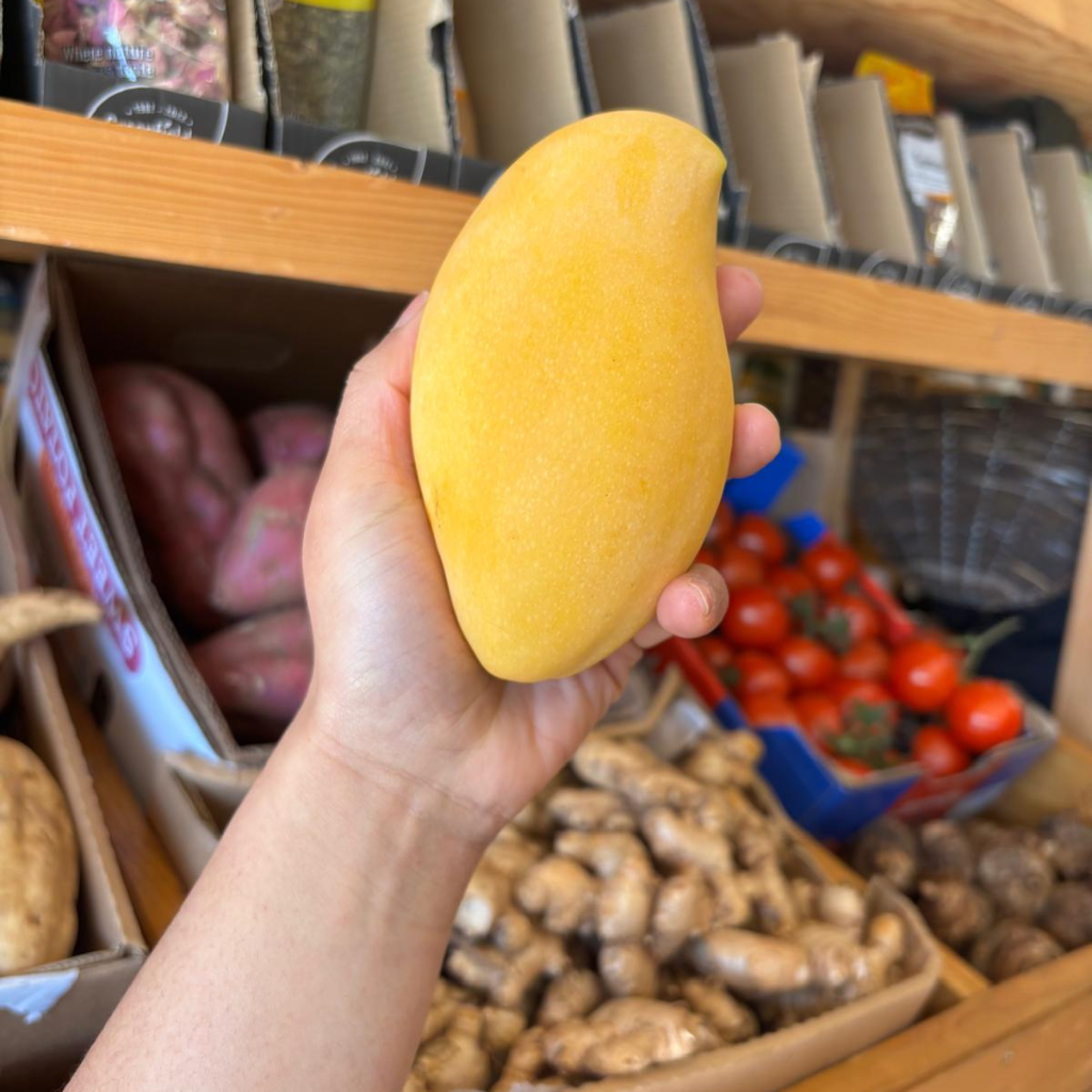 Thai Honey Mango (Mangifera Indica) (Single)