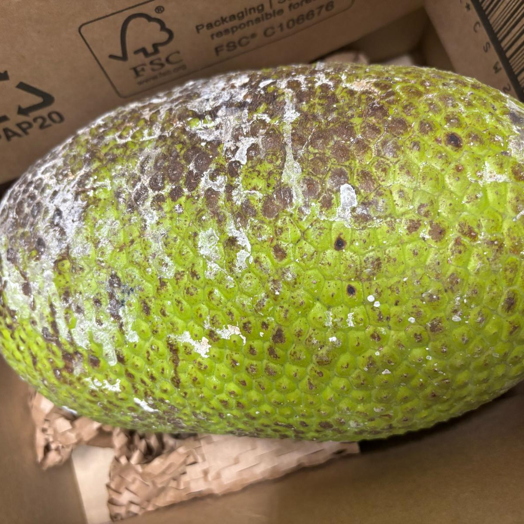 St Lucian Breadfruit - 2.4kg - Listing A
