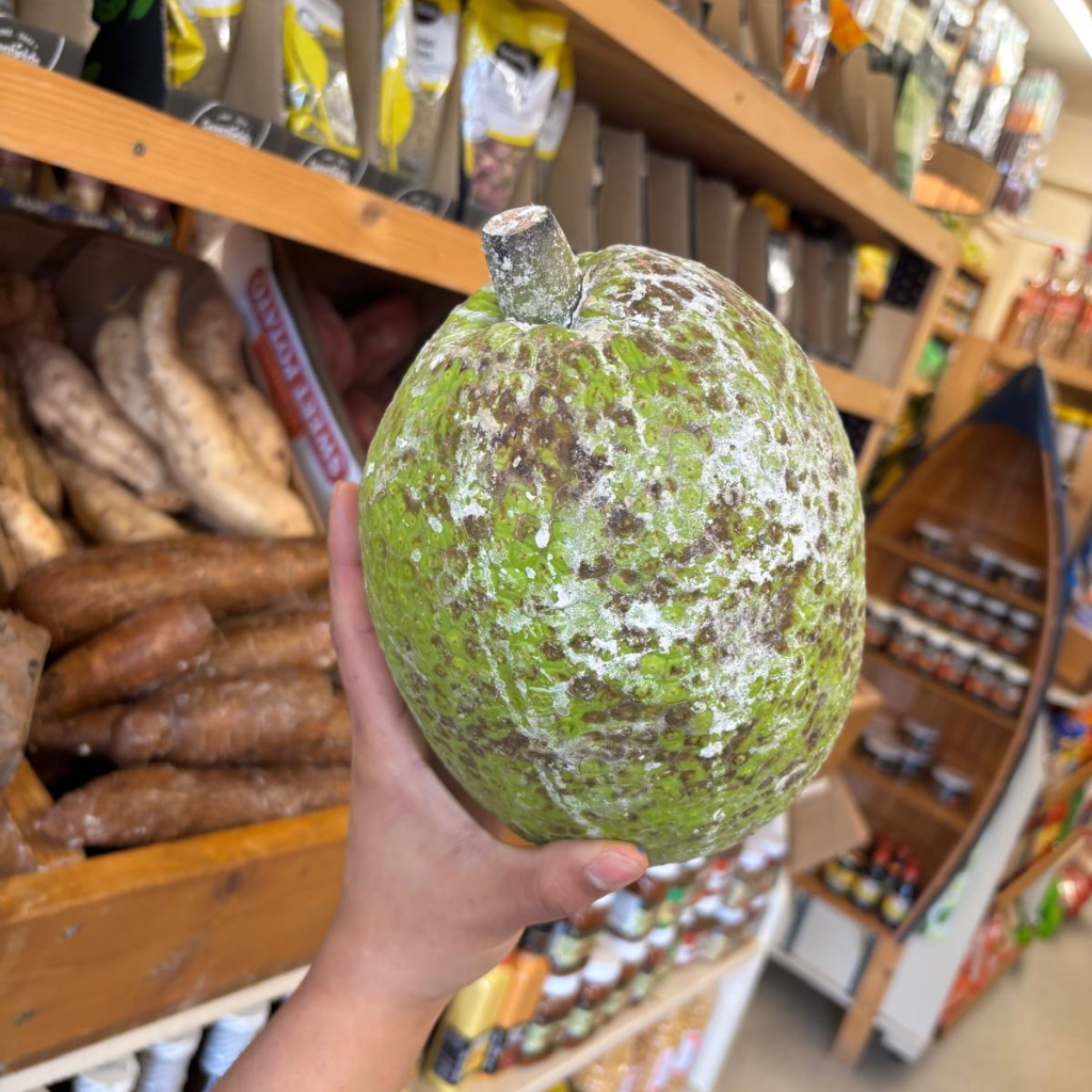 St Lucian Breadfruit - 1.9kg - Listing B