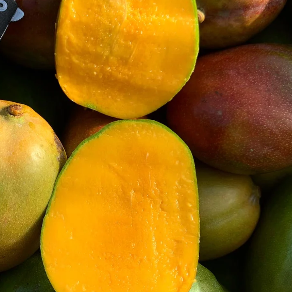 Jamaican Julie Mangoes (0.9 - 1kg Approx)
