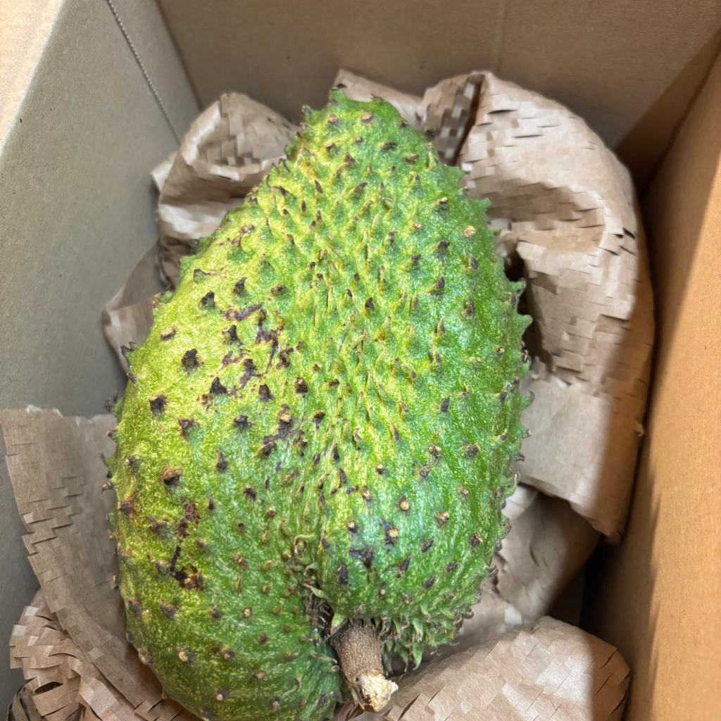 St Lucian Soursop (Graviola) - 1.3kg - Listing 2