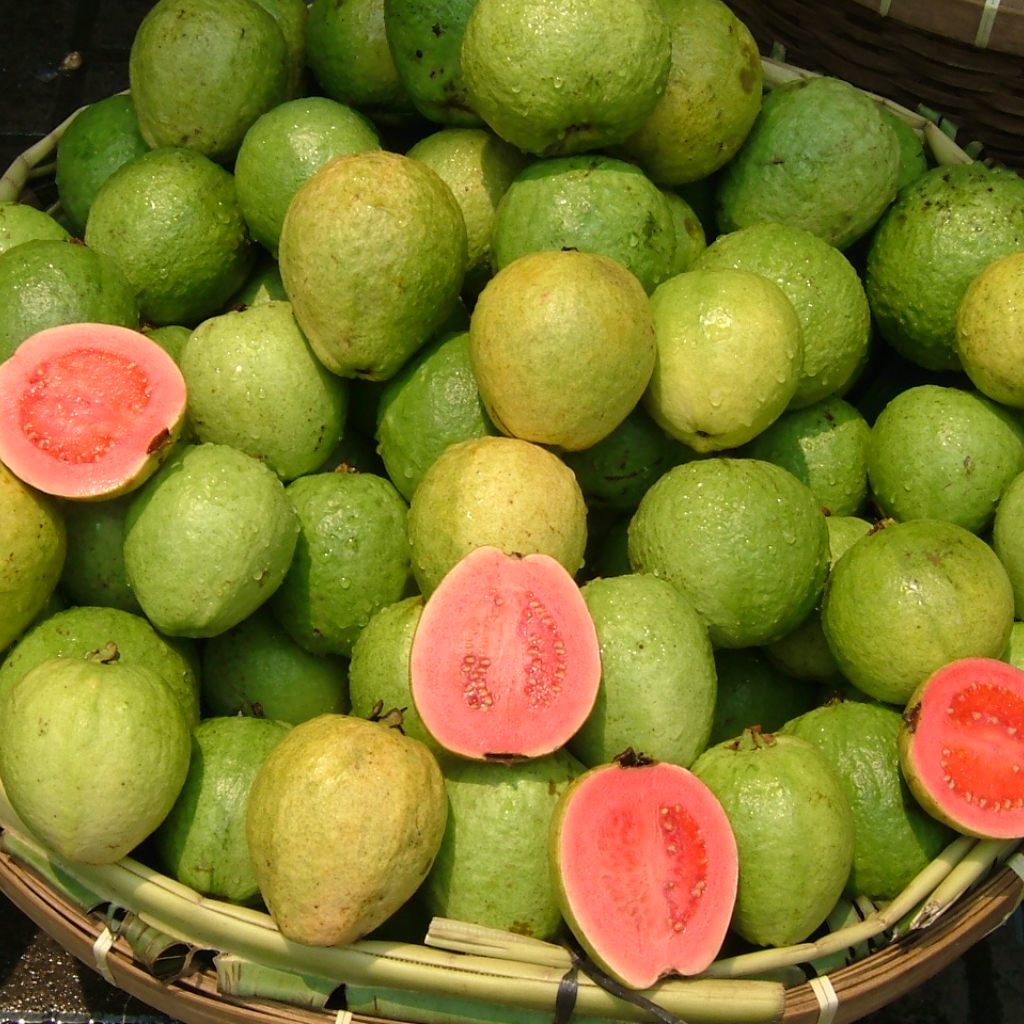 Brazailian Guava Fruit (Single)
