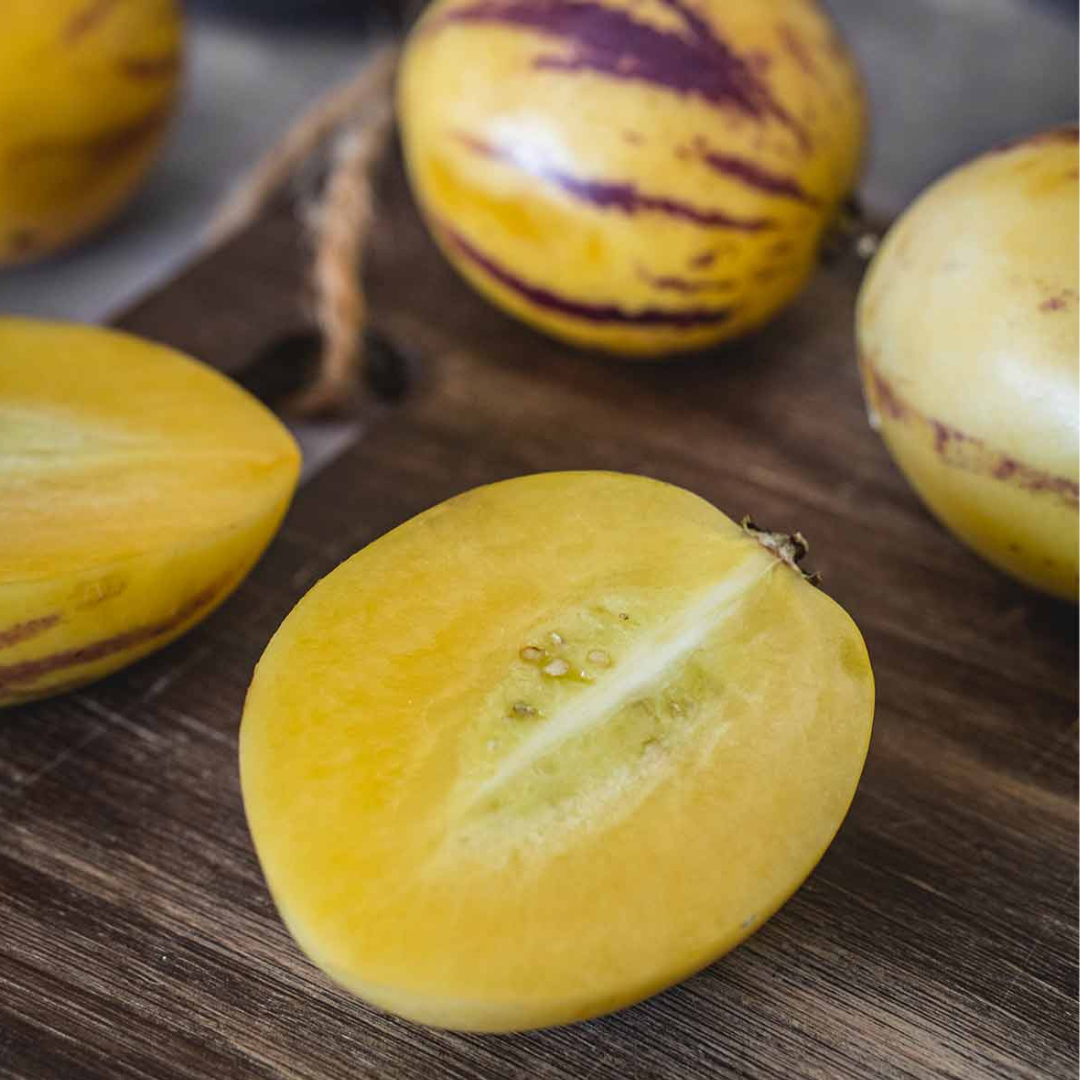 Columbian Pepino Melon (Single)