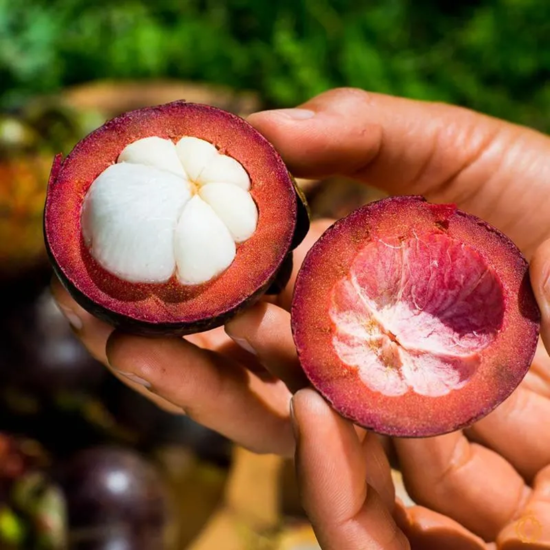 Columbian Mangosteen (Approx 450g)