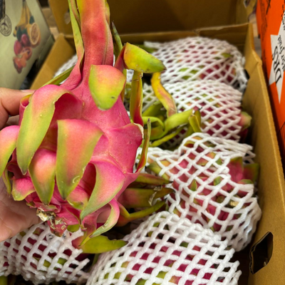 Thai Pink Dragon Fruit (Pitahaya/Pitaya) (Single)