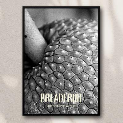 Bread fruit