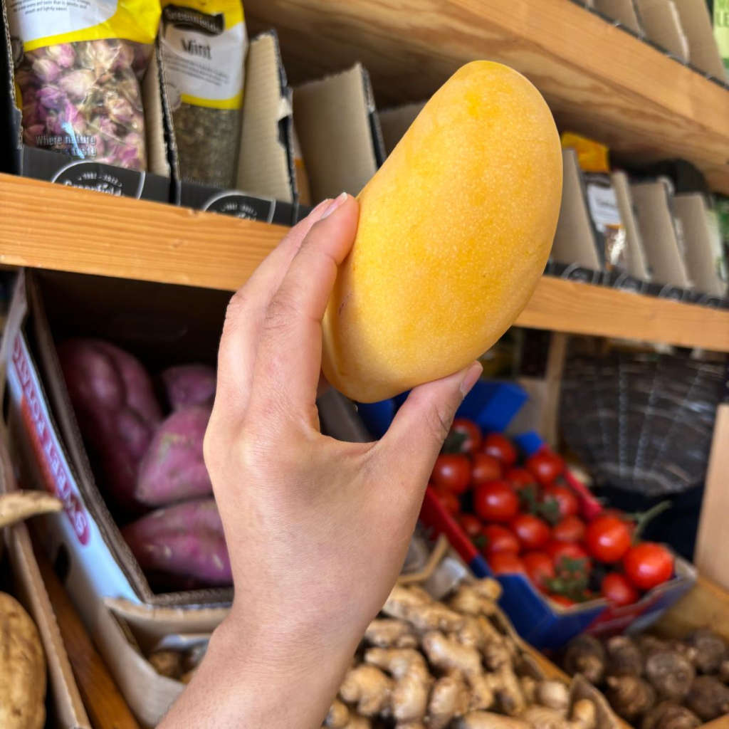 Thai Honey Mango (Mangifera Indica) (Single)