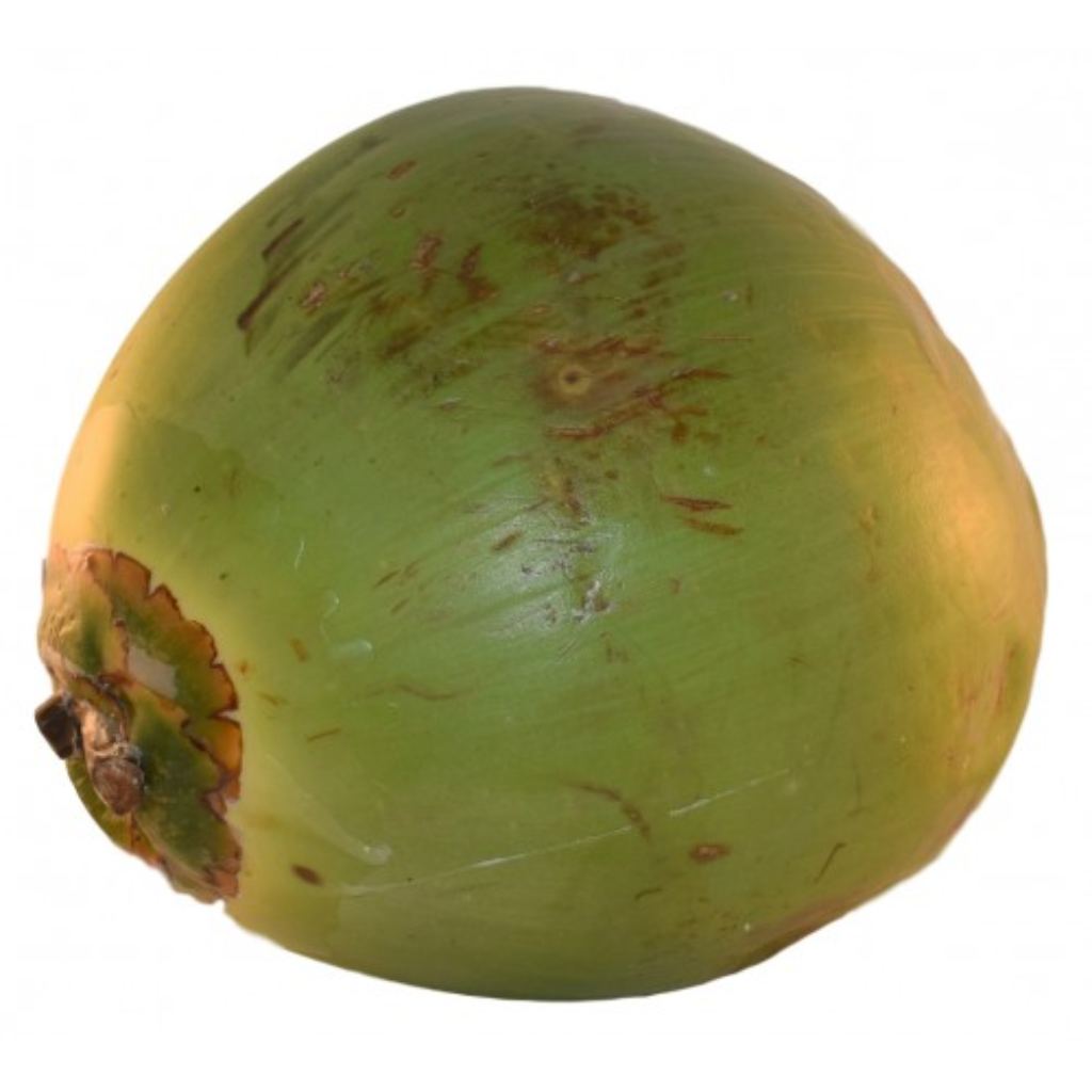 Costa Rican Jelly Coconut (Single)