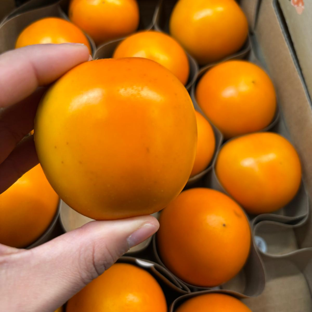 Columbian Lulo (Naranjilla) (Single)