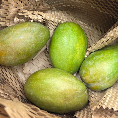 Jamaican Julie Mangoes (1kg Approx) (Approx 3 - 5 pcs)