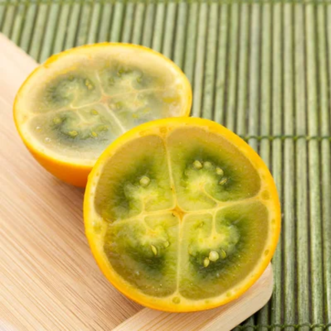 Columbian Lulo (Naranjilla) (Single)