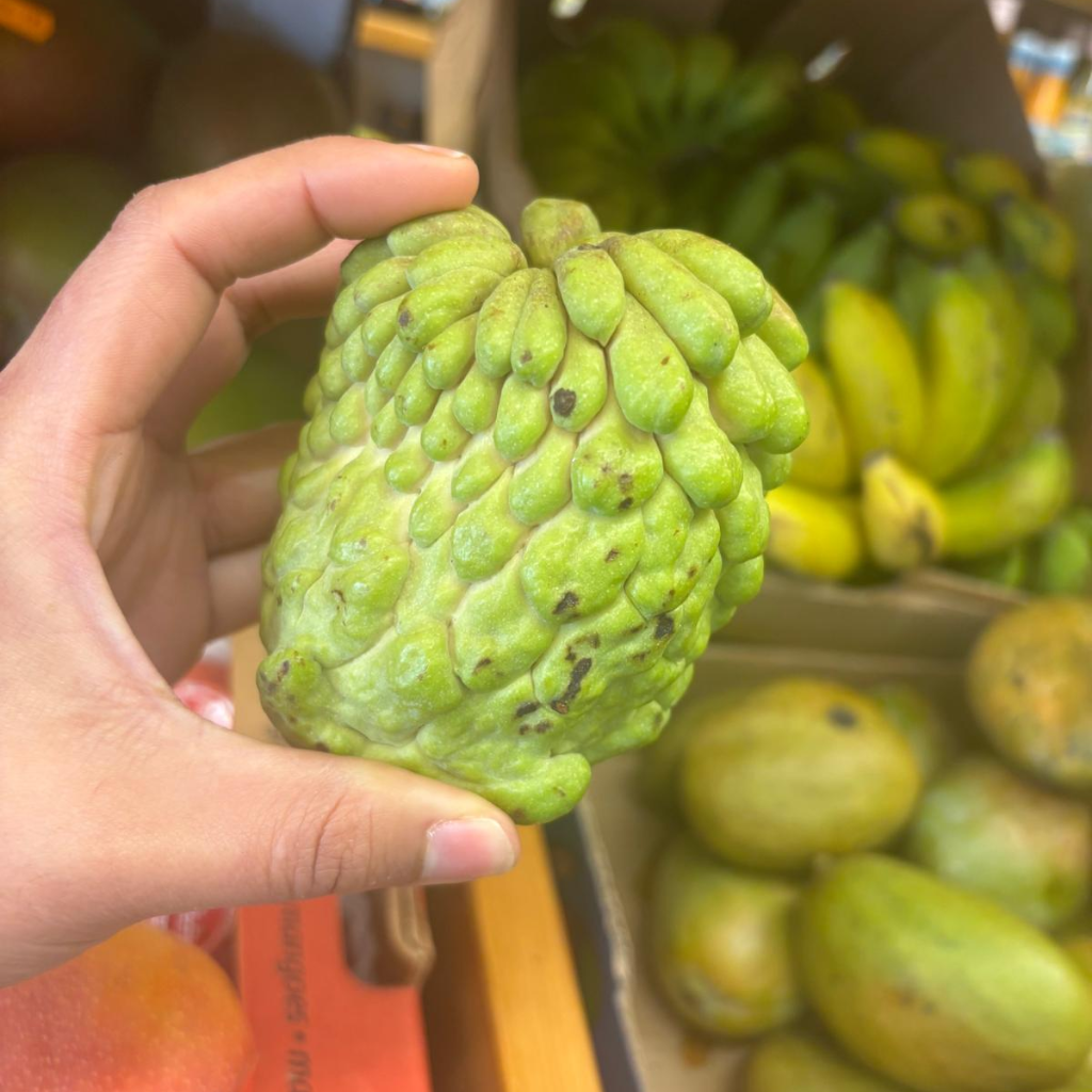Brazilian Sugar Apple/Sweetsop (Single)