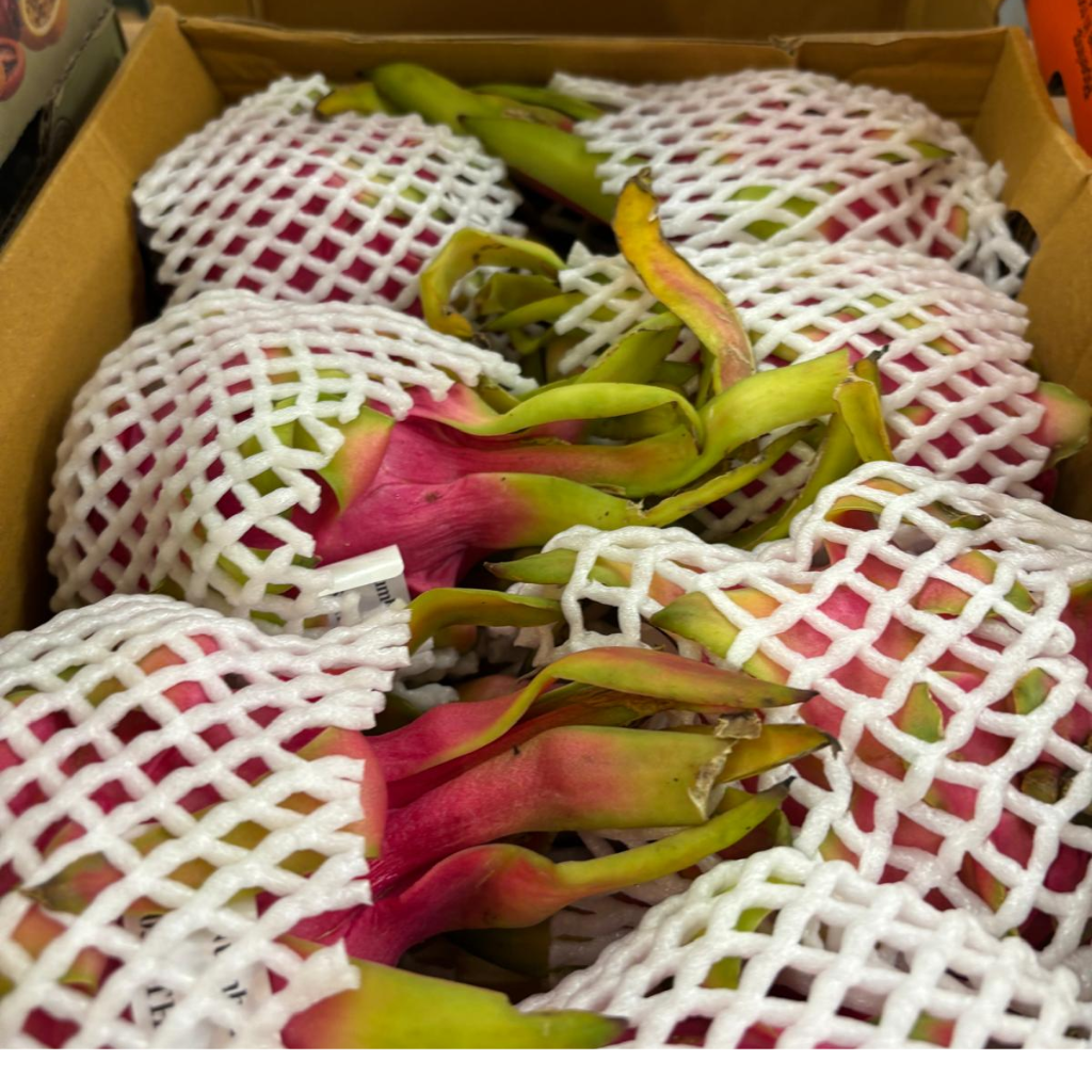 Thai Pink Dragon Fruit (Pitahaya/Pitaya) (Single)