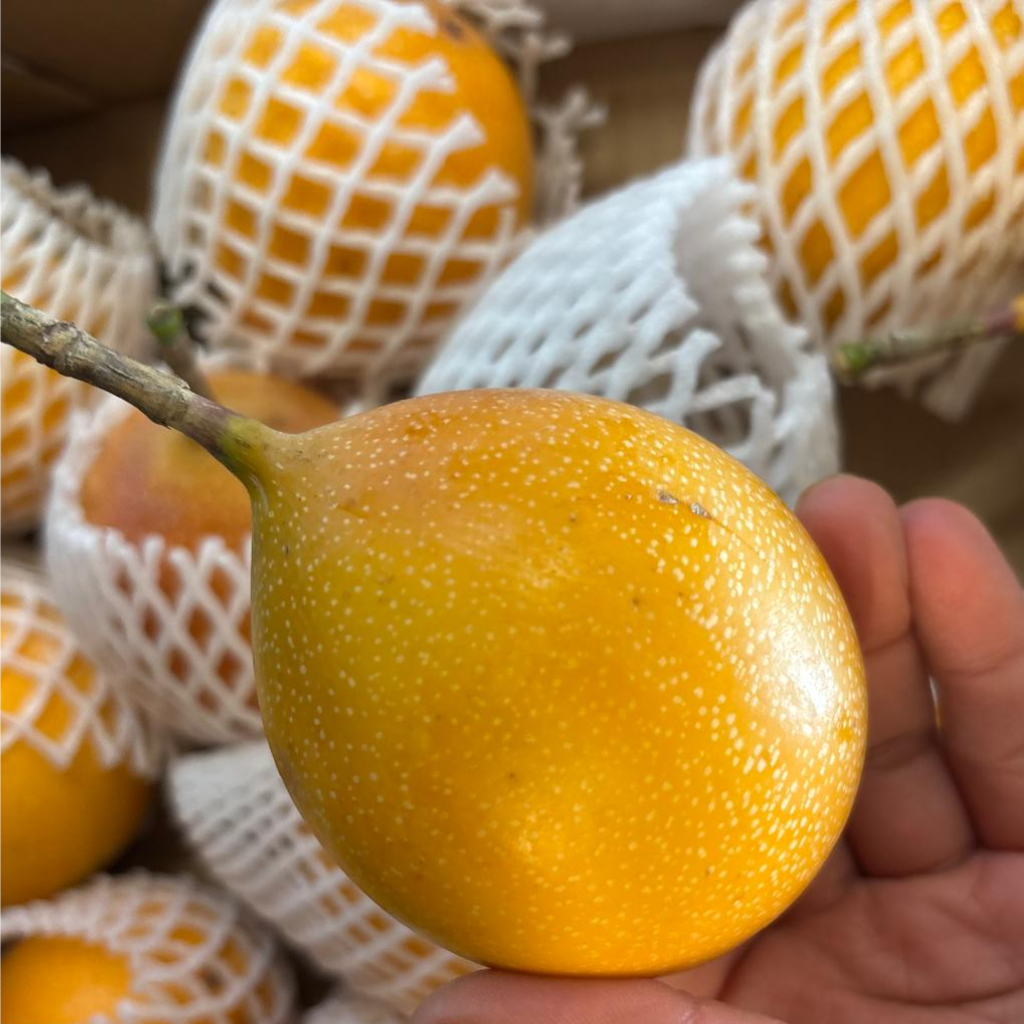 Columbian Yellow/Golden Passion Fruit (Granadilla) (Single)