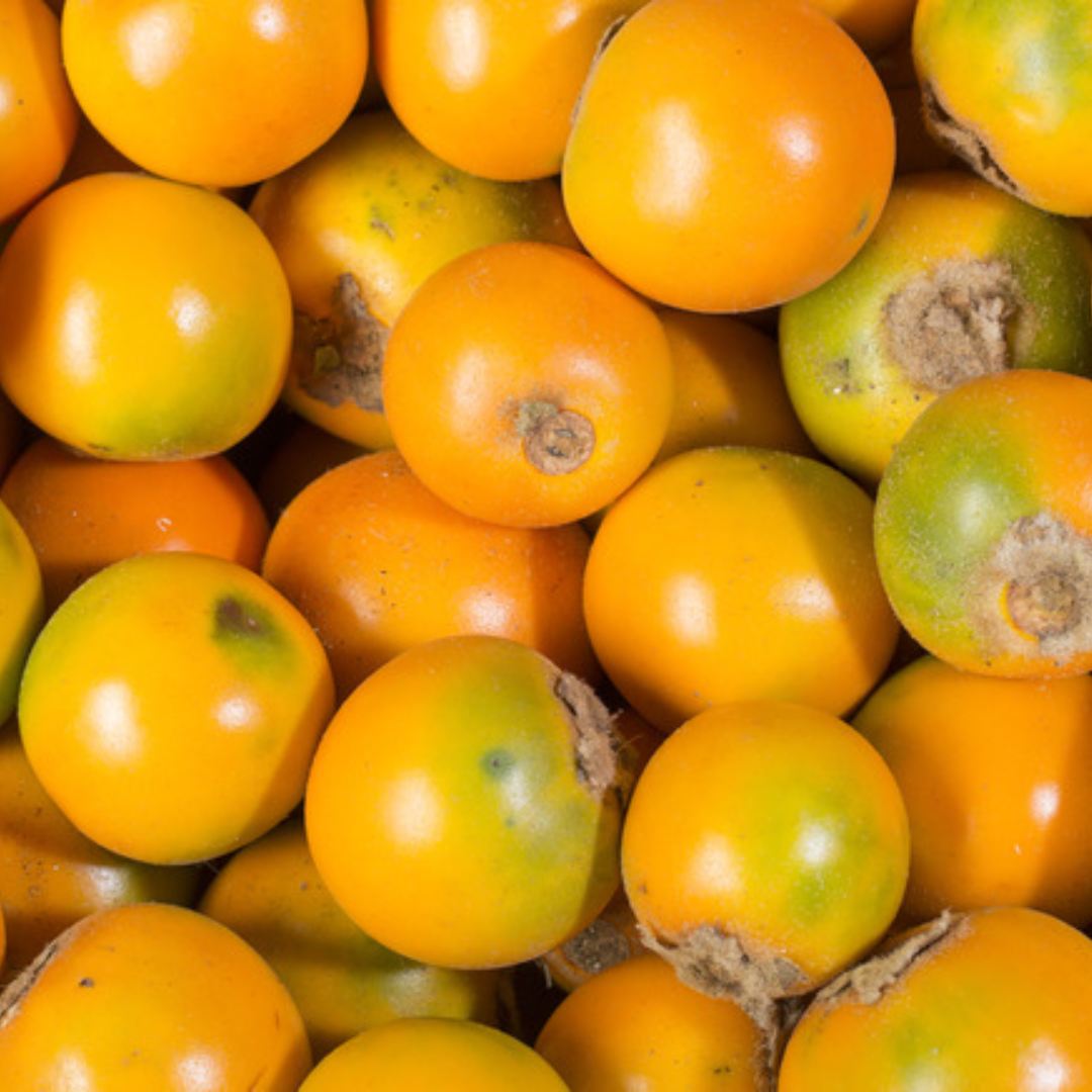 Columbian Lulo (Naranjilla) (Single)