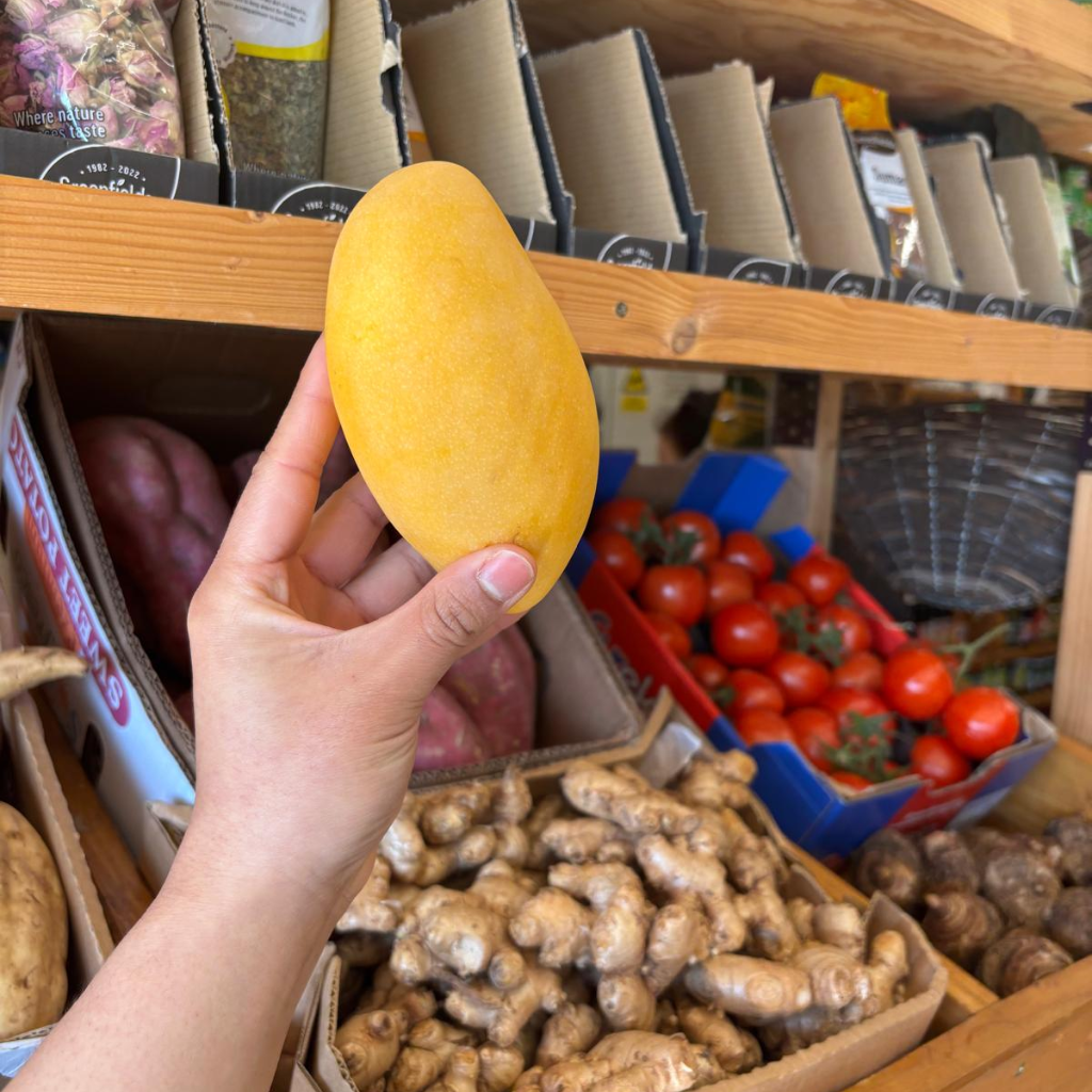 Thai Honey Mango (Mangifera Indica) (Single)