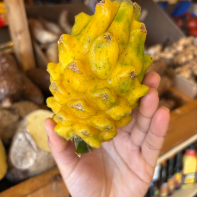Colombian Yellow Dragon Fruit (Pitahaya/Pitaya) (Single)