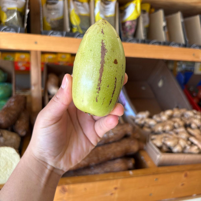 Colombian Pepino Melon (Single)