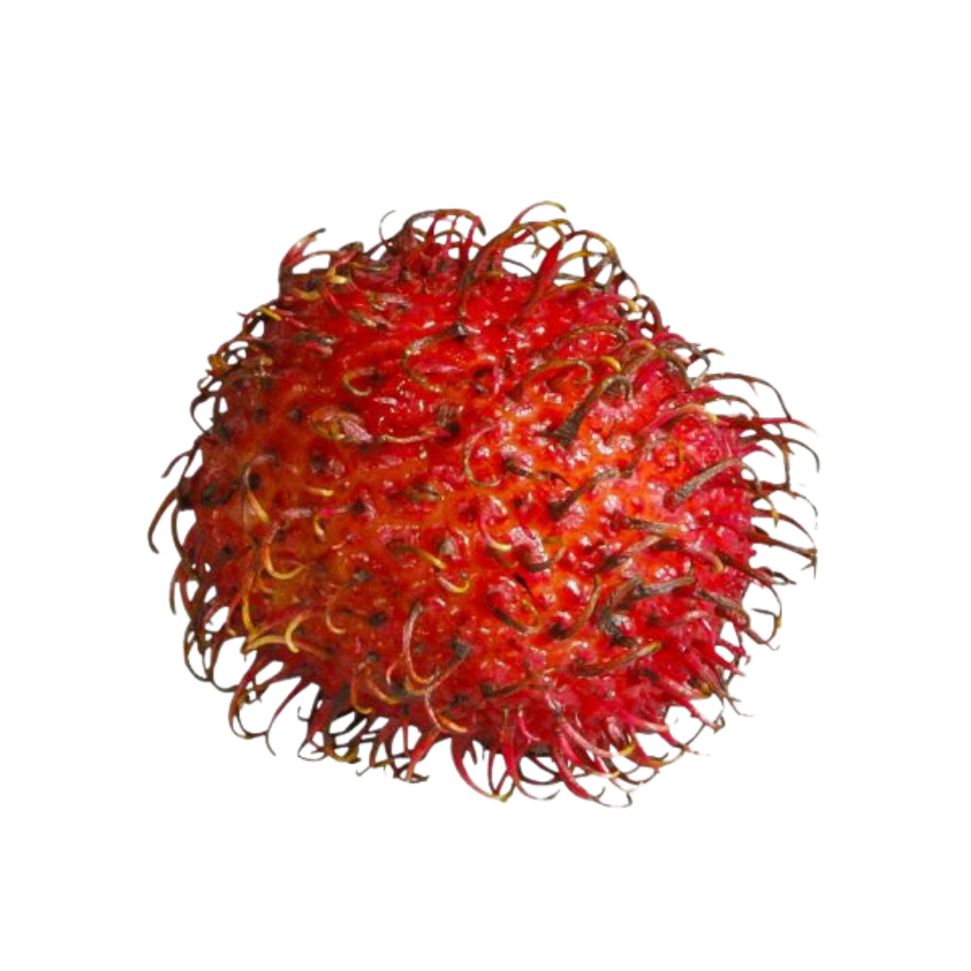 Vietnamese Rambutan - 1 Pack (Approx 500g)