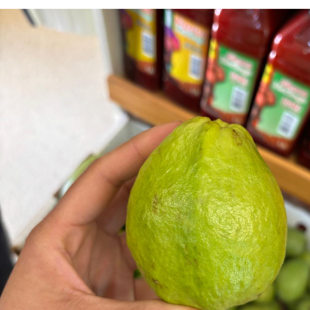 Brazailian Guava Fruit (Single)