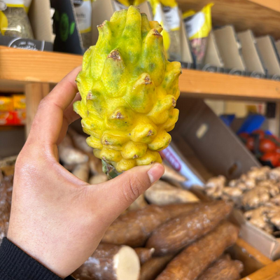 Colombian Yellow Dragon Fruit (Pitahaya/Pitaya) (Single)