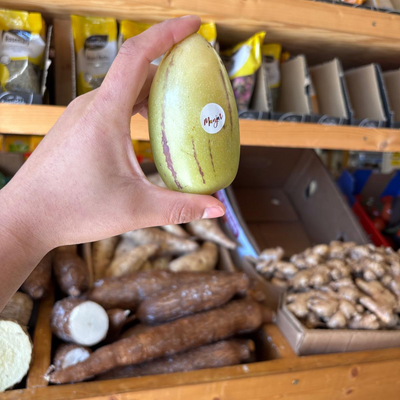 Colombian Pepino Melon (Single)