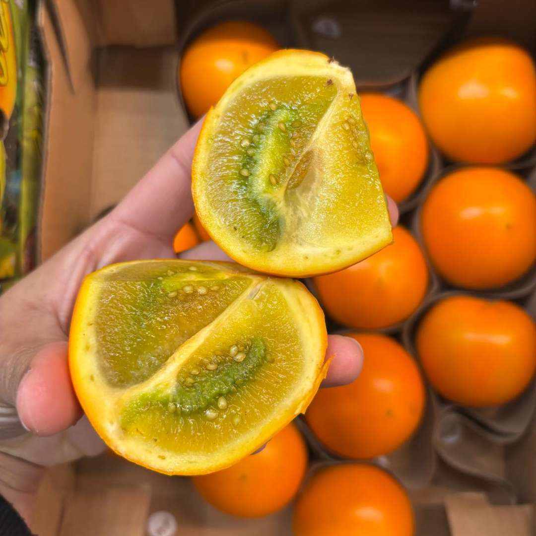 Columbian Lulo (Naranjilla) (Single)