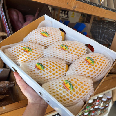 Thai Honey Mango (Mangifera Indica) x 6 (1 Box)