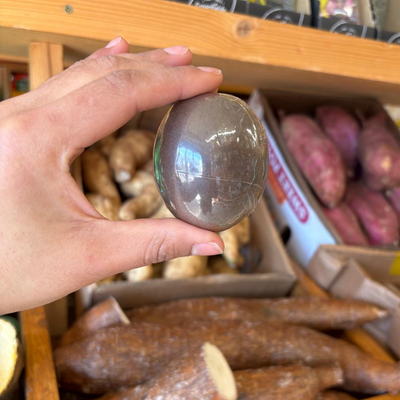 Colombian Purple Passion Fruit (Single)