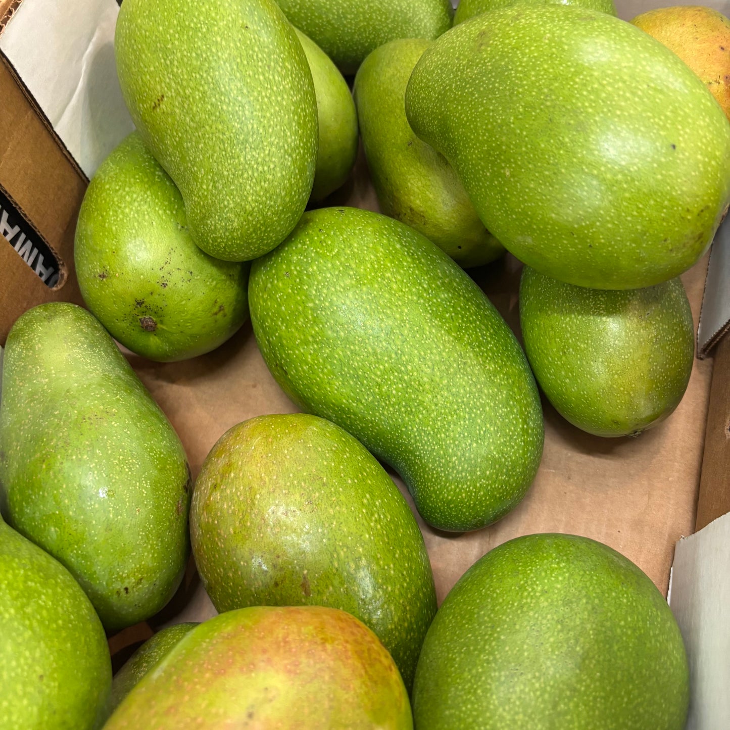 Jamaican East Indian Mangoes (0.9 - 1kg Approx)