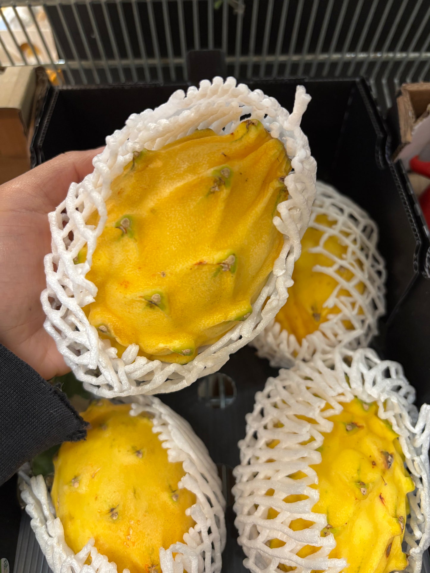 Ecuadorian Yellow Dragon Fruit (Pitahaya/Pitaya) (Single)