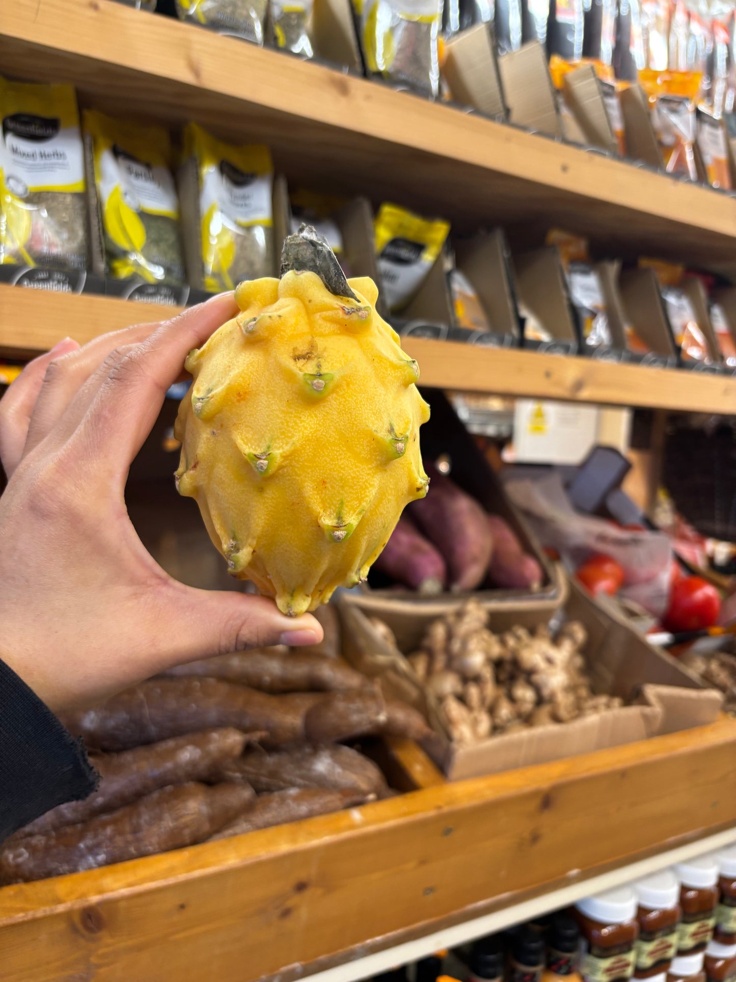 Ecuadorian Yellow Dragon Fruit (Pitahaya/Pitaya) (Single)