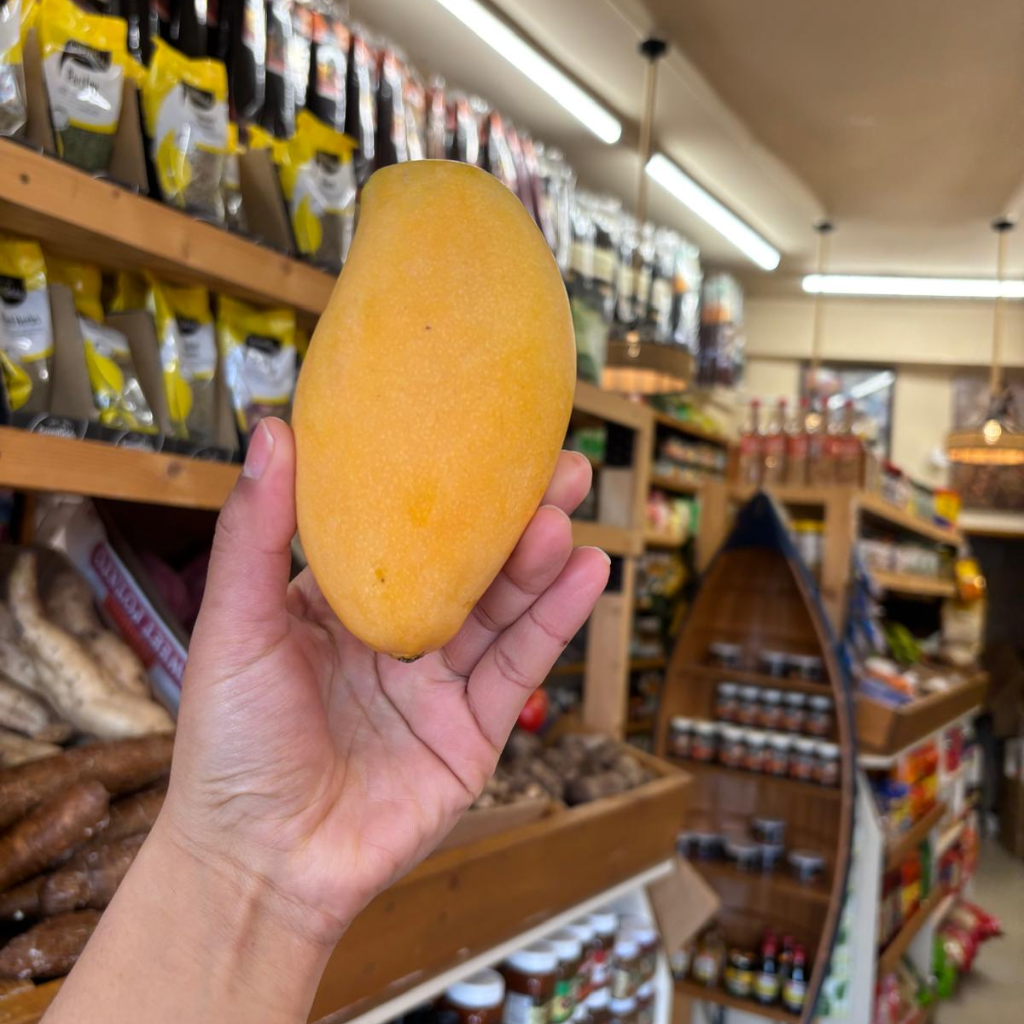 Thai Honey Mango (Mangifera Indica) (Single)