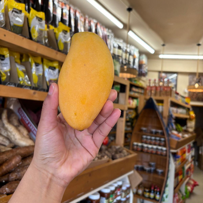 Thai Honey Mango (Mangifera Indica) (Single)