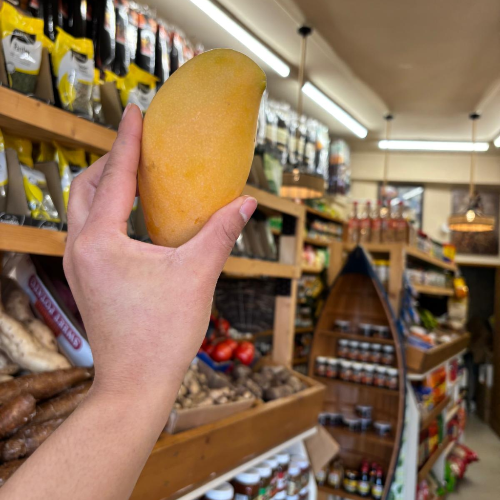 Thai Honey Mango (Mangifera Indica) (Single)