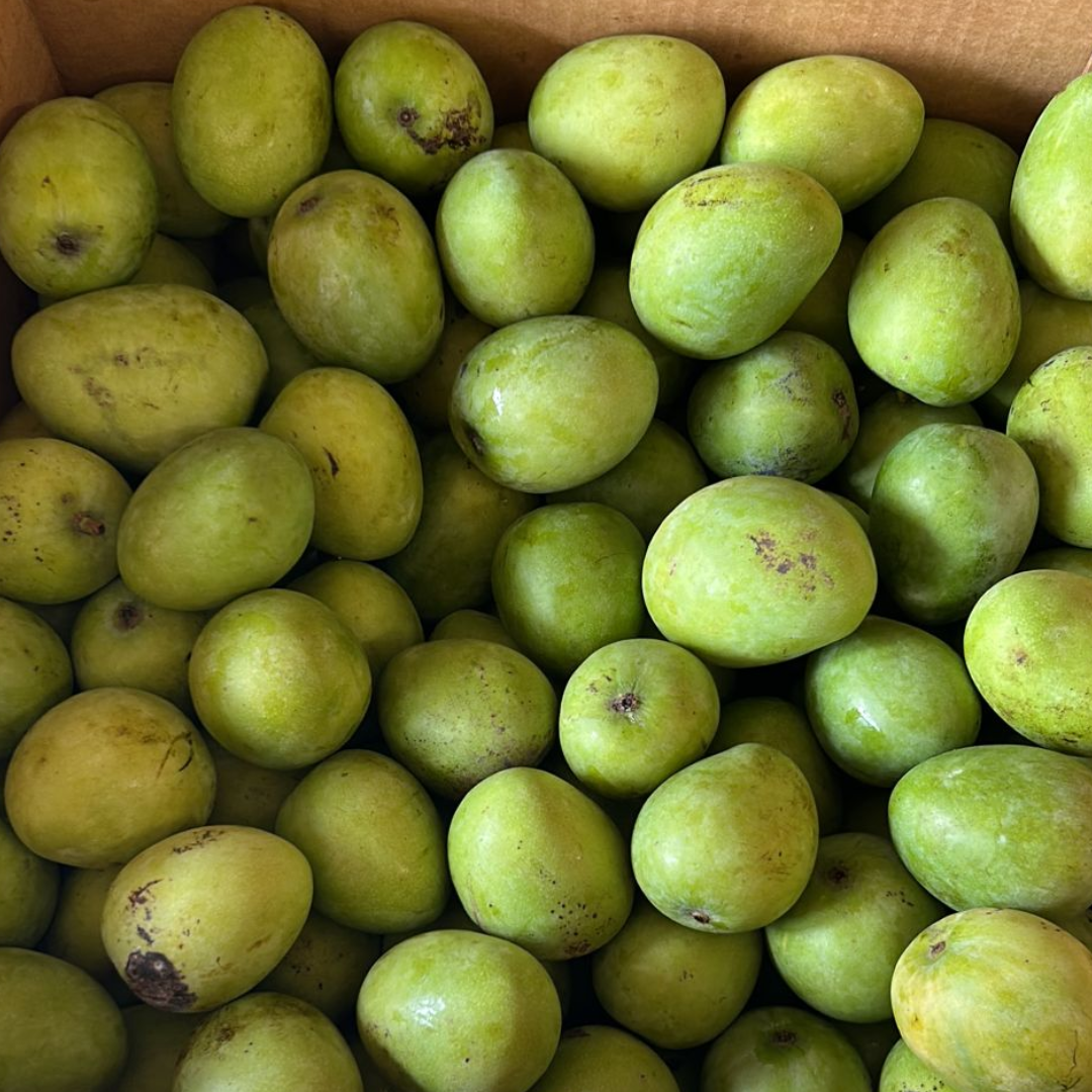 Jamaican Black Mangoes (1kg Approx) (Approx 7 - 11 pcs)