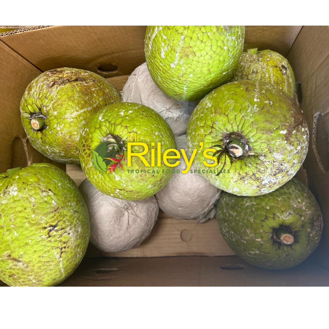 St Lucian Breadfruit - 2.4kg - Listing A