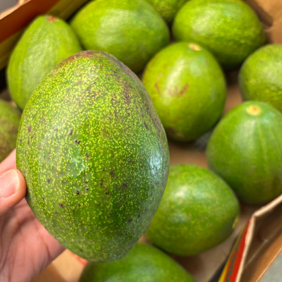 Ugandan Avocado (Approx. 300g - 400g)