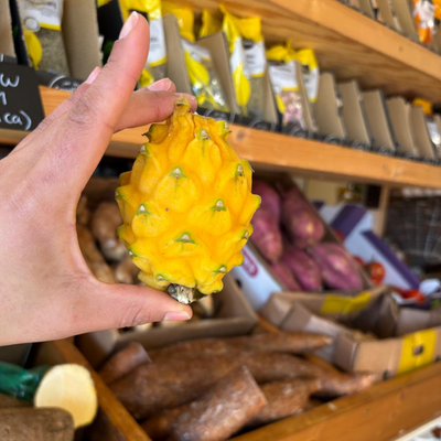 Ecuadorian Mini Yellow Dragon Fruit (Pitahaya/Pitaya) (Single)
