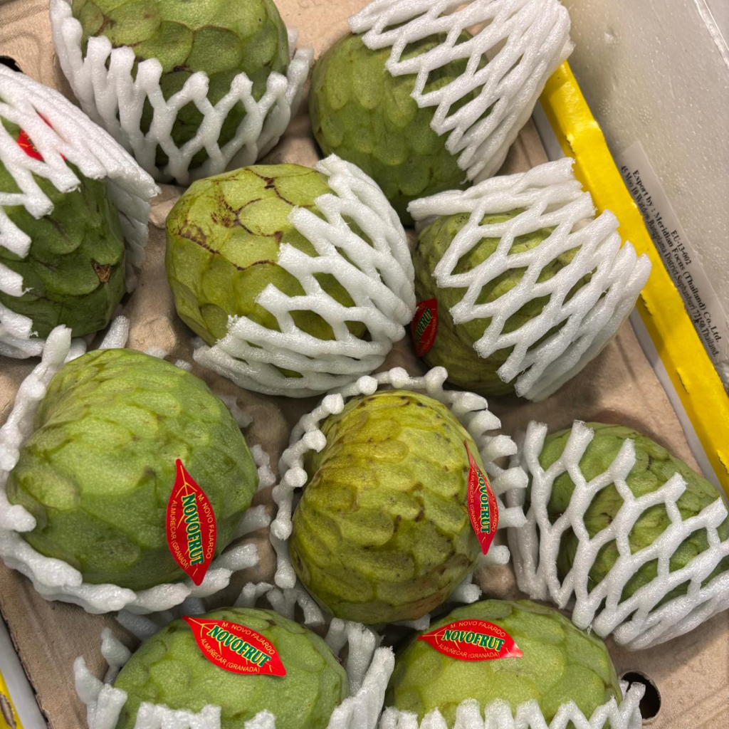 Spanish Custard Apple - Cherimoya (Single)