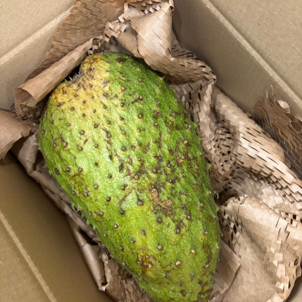 St Lucian Soursop (Graviola) - 1.5kg - Listing 1