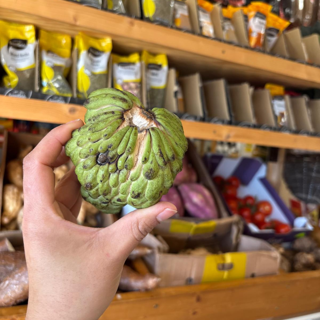 Brazilian Sugar Apple/Sweetsop (Single)
